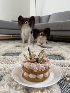 koerad ja tort