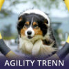 agility