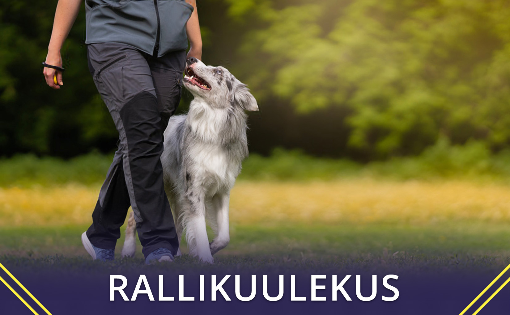 Rallikuulekus