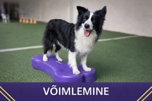 Võimlemine – vaata algavaid gruppe